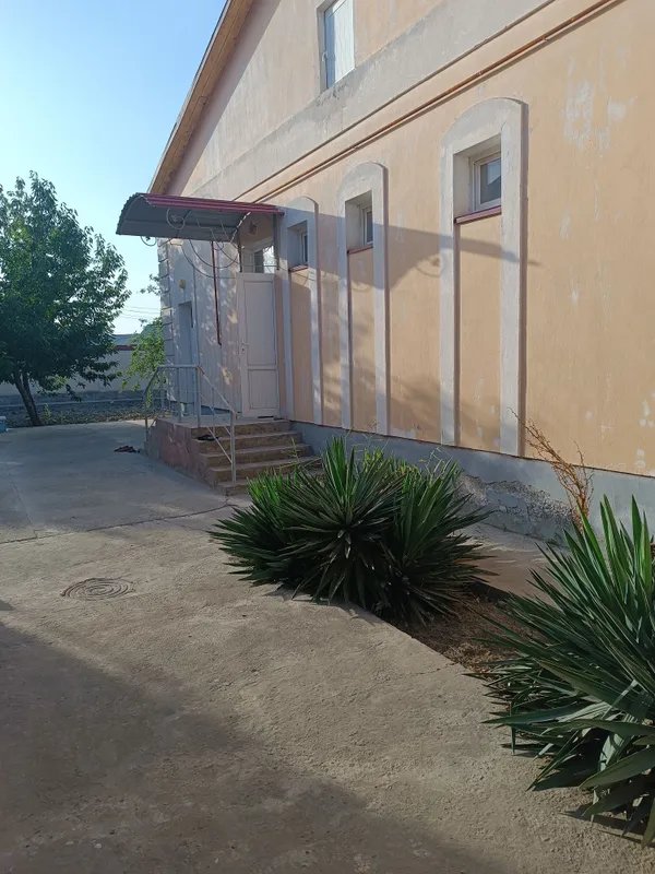 Kotej sotiladi, Jomboy Oʻrtaboʻz qulay lokasiyada