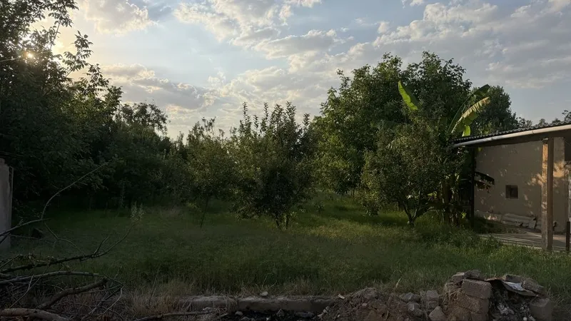 surumda arendaga uchaska 3