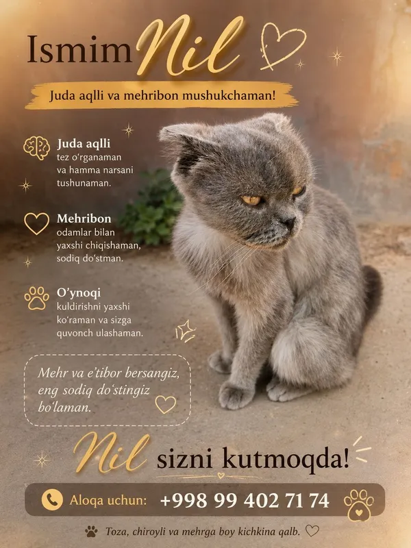 Ismi NIL jiddiy koʻringani bilan juda mehribon atrofimdan ketmidi — фото 3