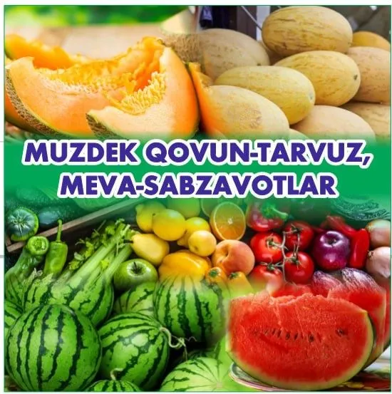 Tayyor shakldagi koʻchma mulk