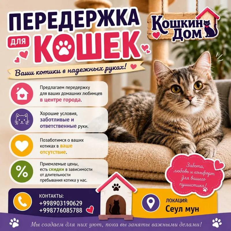 Передержка для кошек 1