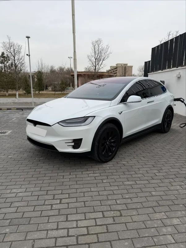 2020 tesla model x — фото 1