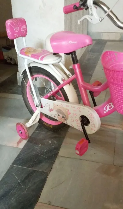 velosiped bor yo‘g‘i bir marta haydalgan — фото 1