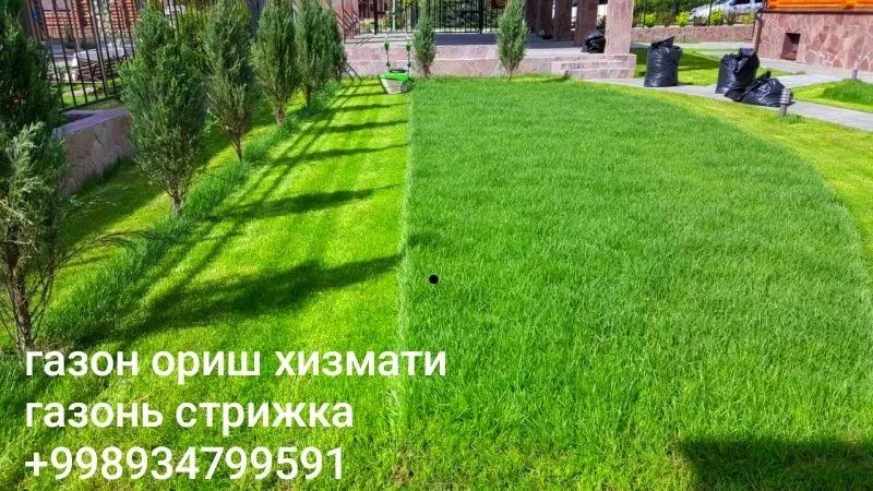 Газон ориш хизмати 3 Газон ориш хизмати 3