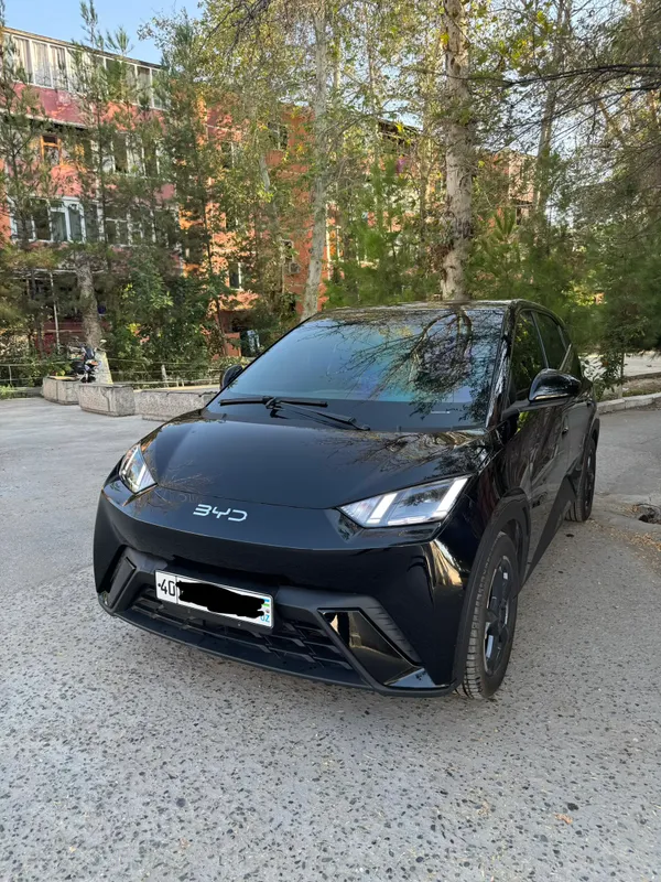 Byd seagull сотилади 2 Byd seagull сотилади 2