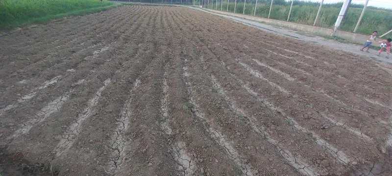 Yer sotiladi srochni 5 Yer sotiladi srochni 5