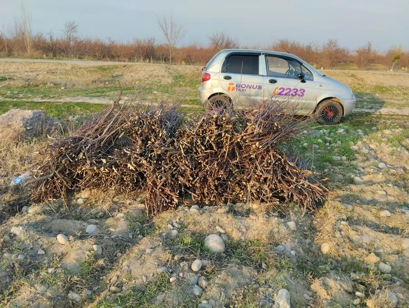 Matiz mx 2008