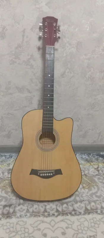 6 sturunalik gitara
