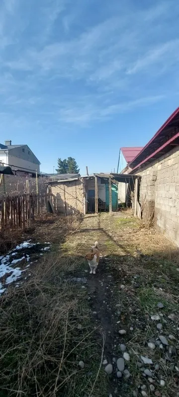 Продаётся участок в 4,7 сотки Сергели ,ул Олчазор — фото 2