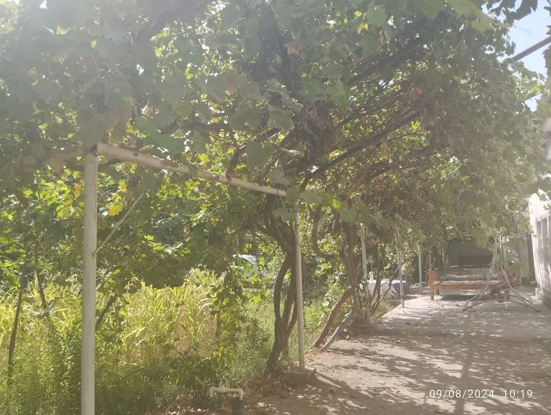 Qarakôlda uy sotiladi holati yaxshi — фото 4