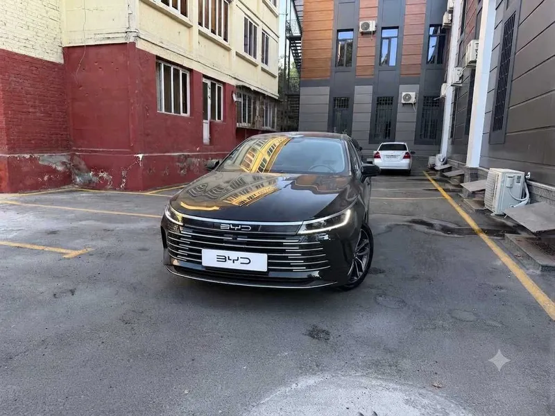 BYD chazor 2024 gibrid 2