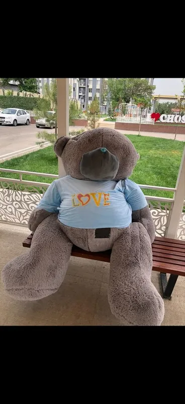 Teddy eng kottasi