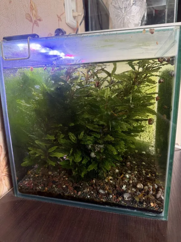 Akvarium sotiladi Akvarium sotiladi