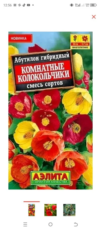 садовые цветы — фото 4