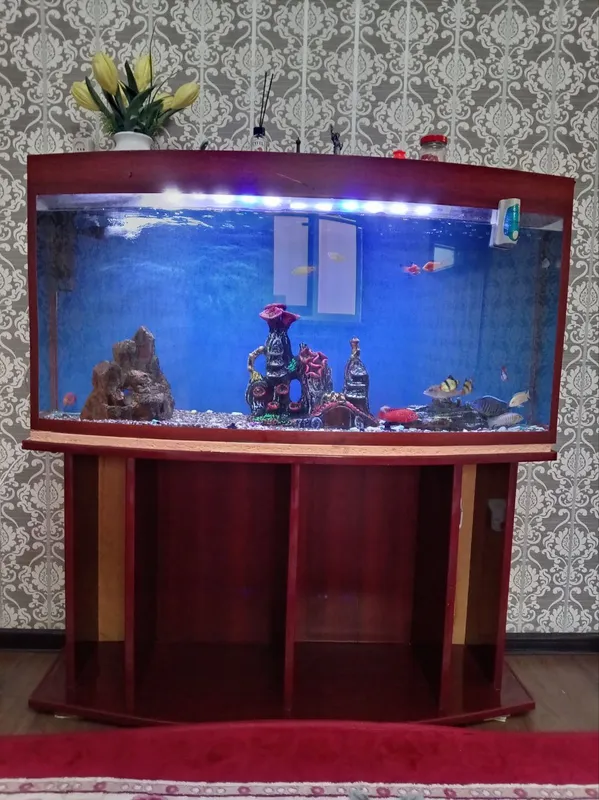 Продаётся аквариум новый 170 $ 3 Продаётся аквариум новый 170 $ 3