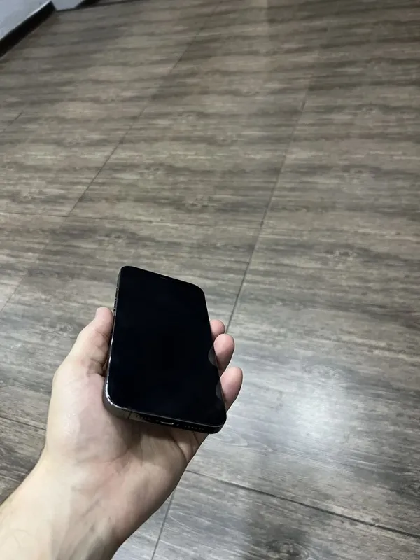 Iphone 12 pro max 2