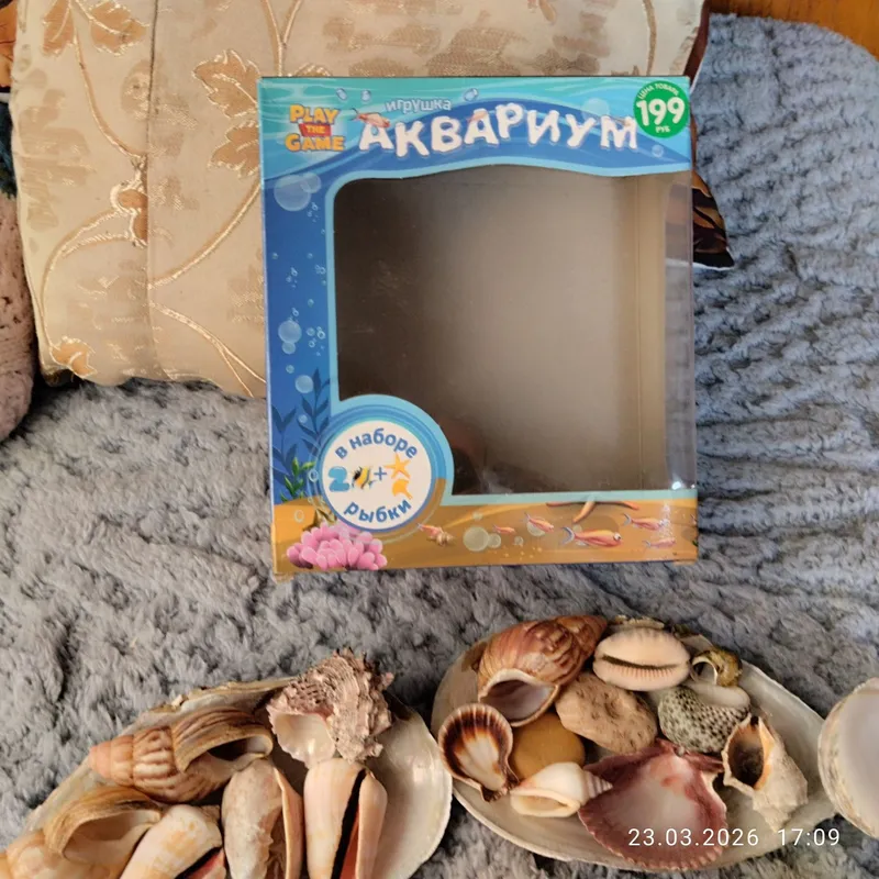Шикарный набор ракушек для аквариума и ручных работ — фото 2