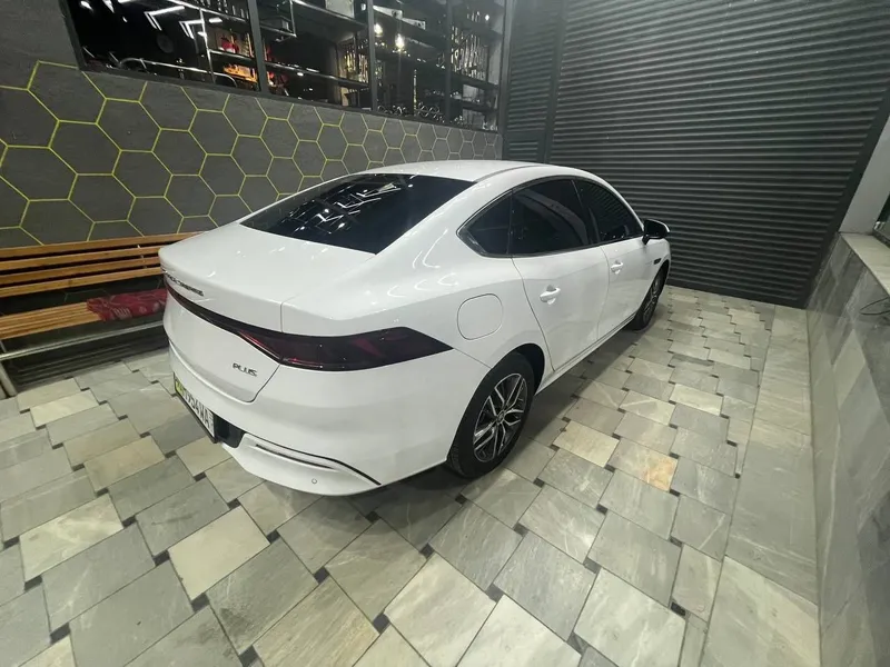 BYD Qin Plus EV 2024 — фото 2
