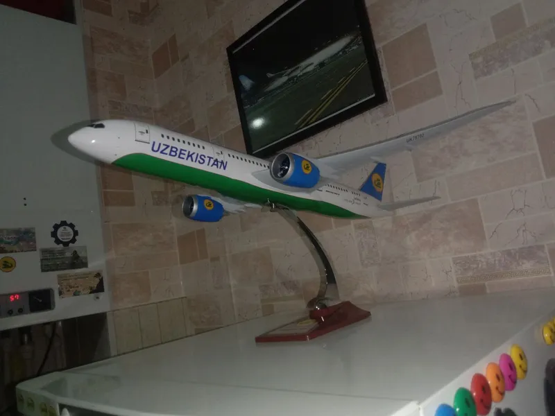Uzbekistan Airways Boeing 787-8 Dreamliner 4