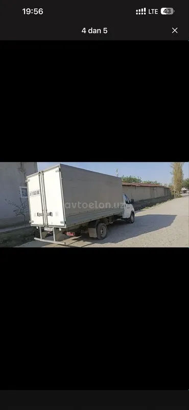 Gazel yili 2019 holati ideal 4
