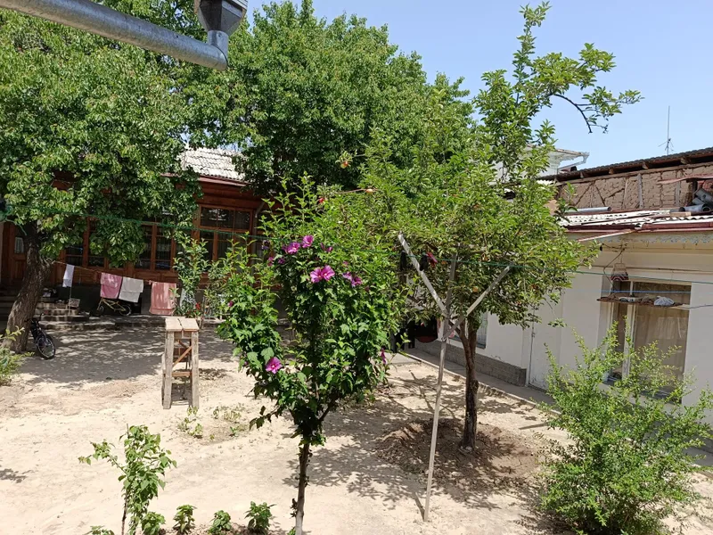 Biznes yoki katta hovli uchun ideal uy sotiladi — фото 5