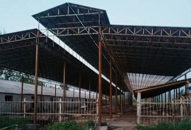 Кантинер профилдан замонавий молхона товукхона курамиз — фото 4