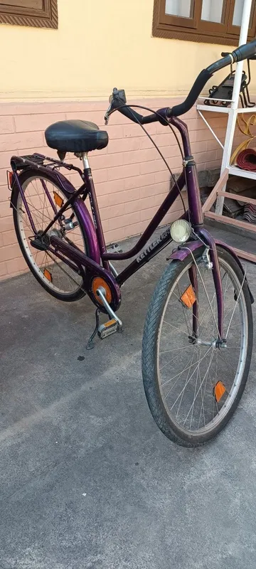 Velsoped ketller 28 lik germaniski 2 Velsoped ketller 28 lik germaniski 2