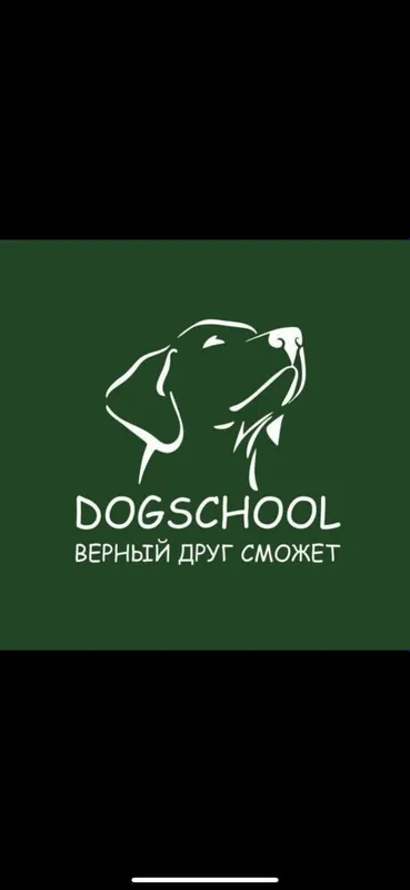 Дрессировка и передержка собак