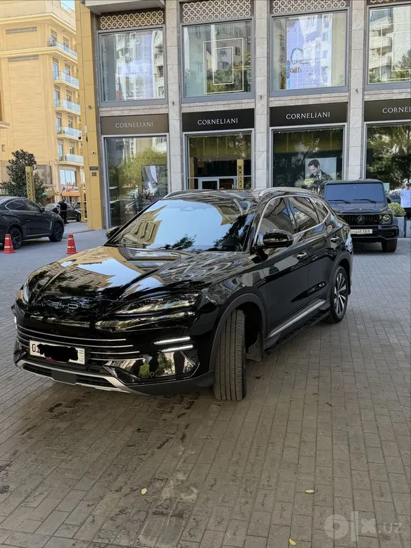 BYD Champion гибрид, 110, белый салон 1 BYD Champion гибрид, 110, белый салон 1