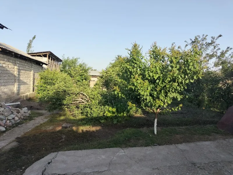 Shinam va qulay uy sotiladi Hamma sharoit bor suv gaz svet mavjud — фото 3