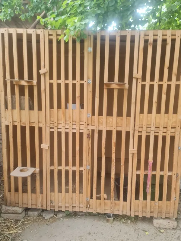 Dakan uchun qafas sotiladi holati oʻrtacha — фото 1
