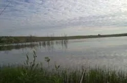 На берегу реки на Ташморе 4 гектара 3