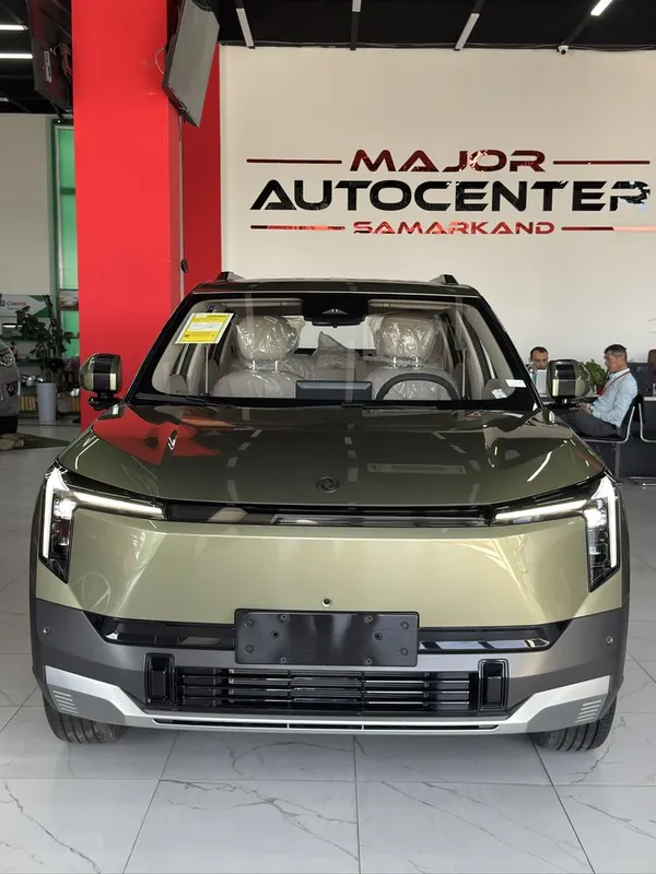DongFeng Nammi 06