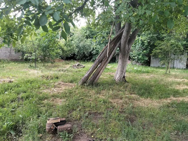 3 sotix xususiylashtirilgan yer maydoni — фото 1