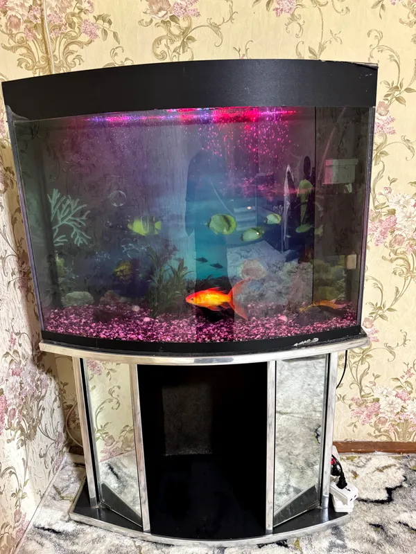 AKVARIUM 150L sotiladi 3