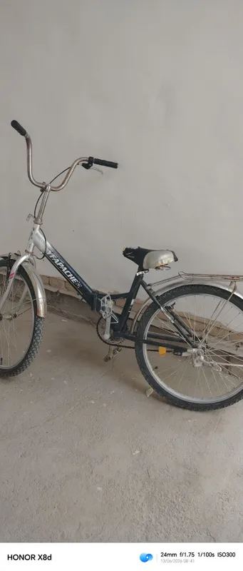 Velik sotiladi dastakka bor