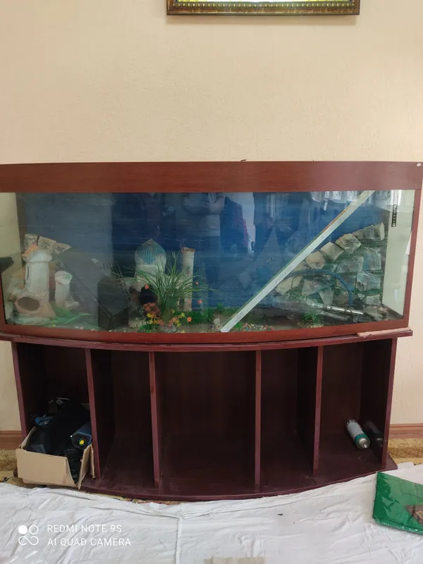 AKVARIUM SOTILADI SROCHNA 150$ KELISHTIRAMIZA