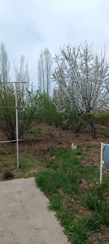 Янгибозорда ер сотилади 2