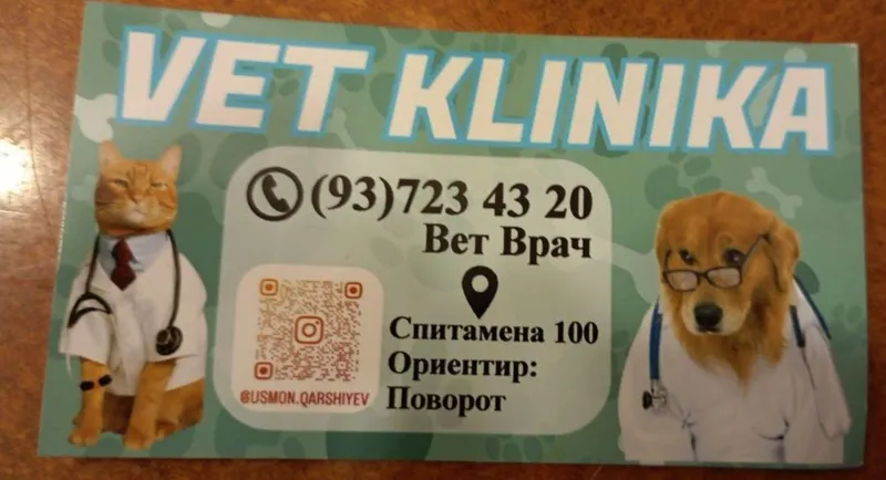 Veterinariya xizmati 24/7 (Vet_Dilshod_Nur) — фото 4