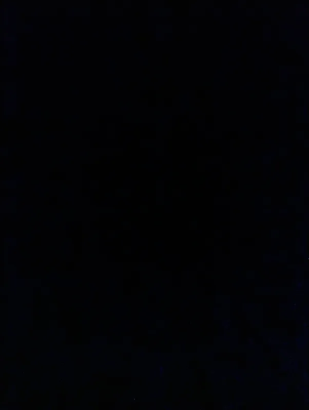 обувь 9 обувь 9