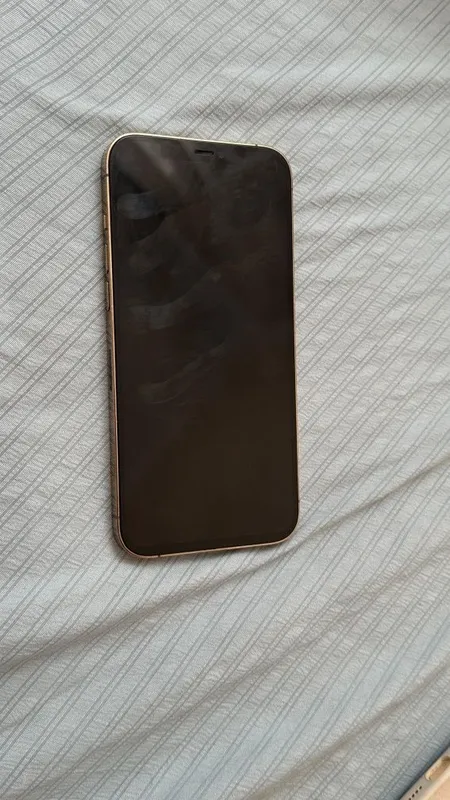 Apple 12 pro max