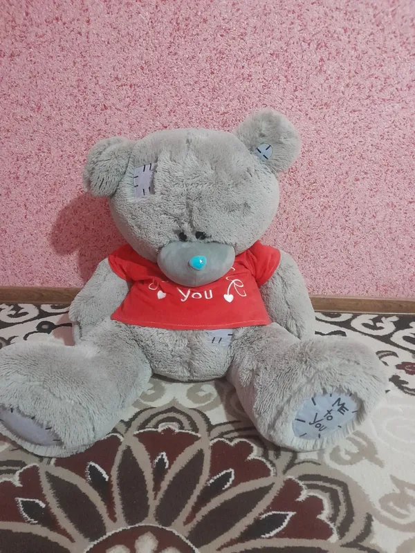 teddy ayiq