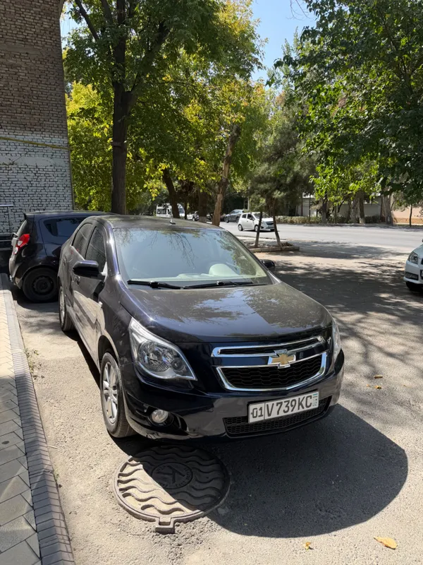 cobalt 2023 kraska toza 1 cobalt 2023 kraska toza 1