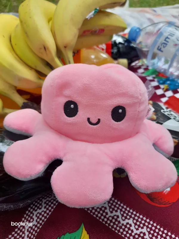 òyinchoq 1