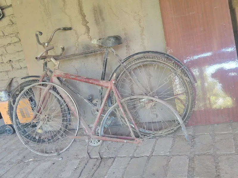 2ta velsopedt birdaniga