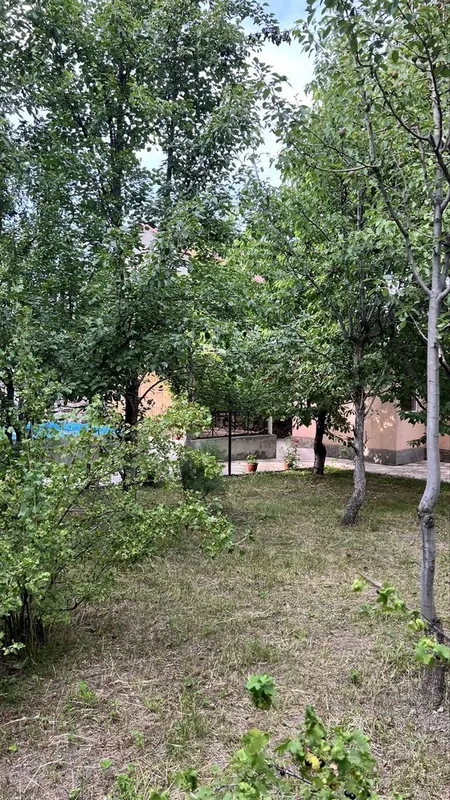 Дача тапчан басейн 10 Дача тапчан басейн 10