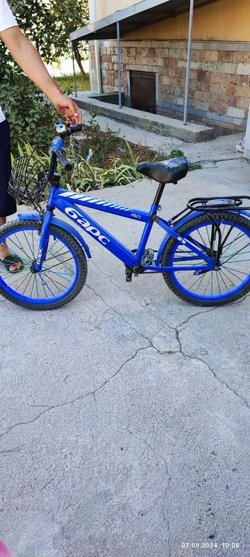 Detiskiy velosepid