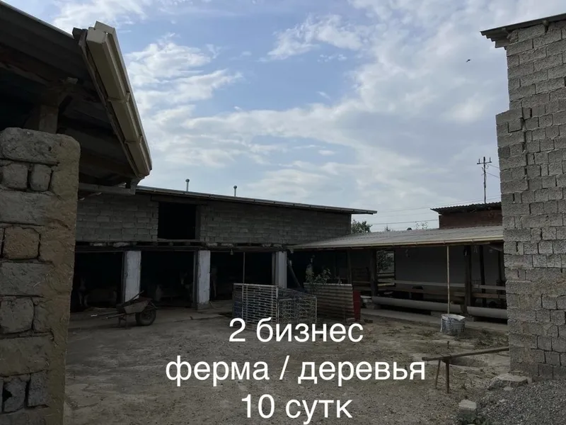 Продается готовый дом / бизнес Торг уместен ! — фото 7