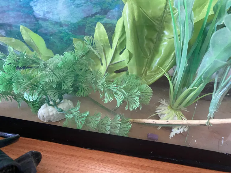 Akvarium 6 Akvarium 6