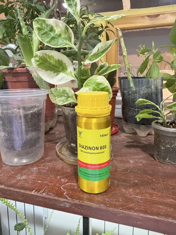 Diazinon 600 (60%)
